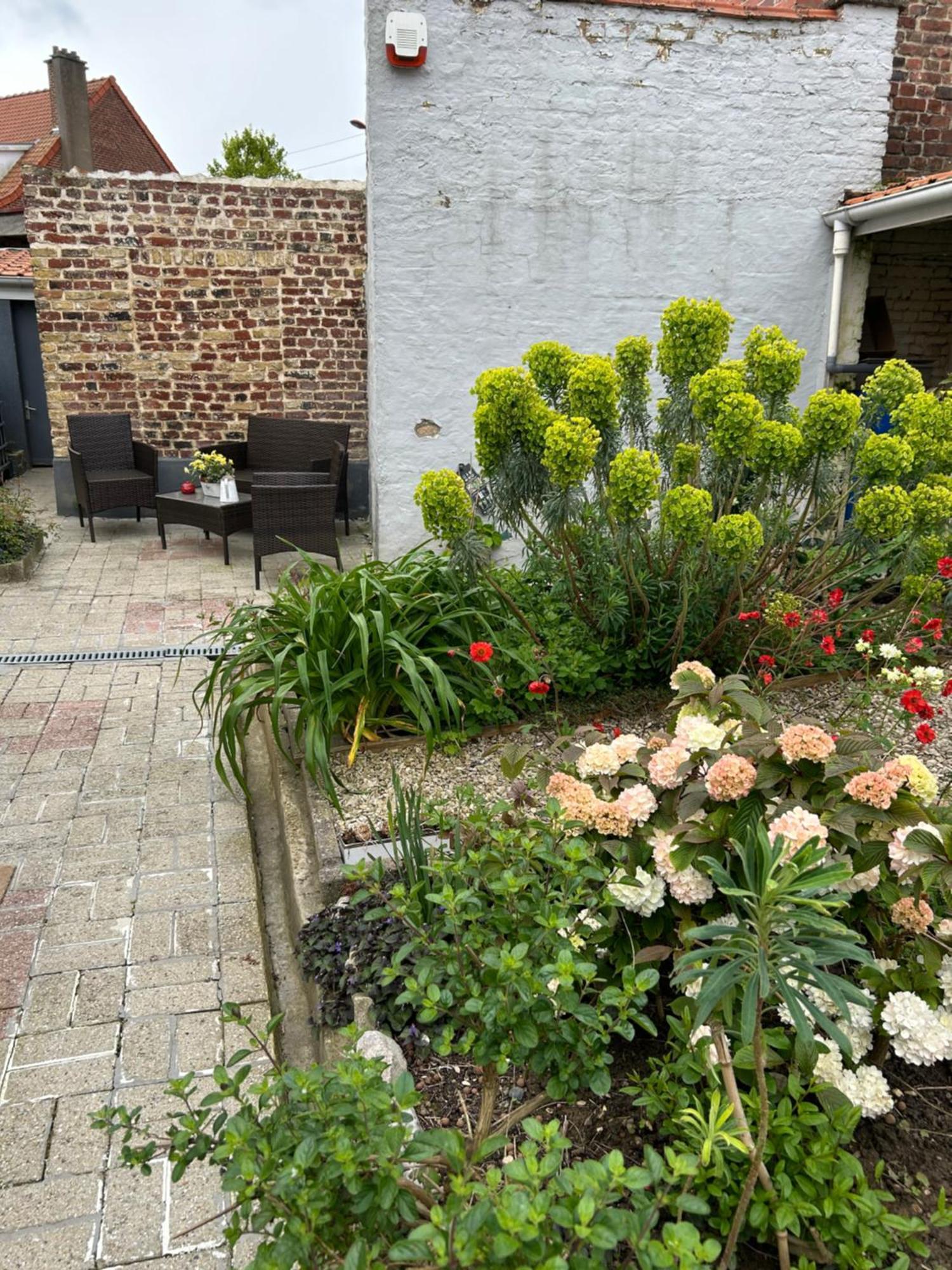 Appartement Avec Jardin 3 Couchages Proche Port Des Fontinettes Arques  Exterior photo